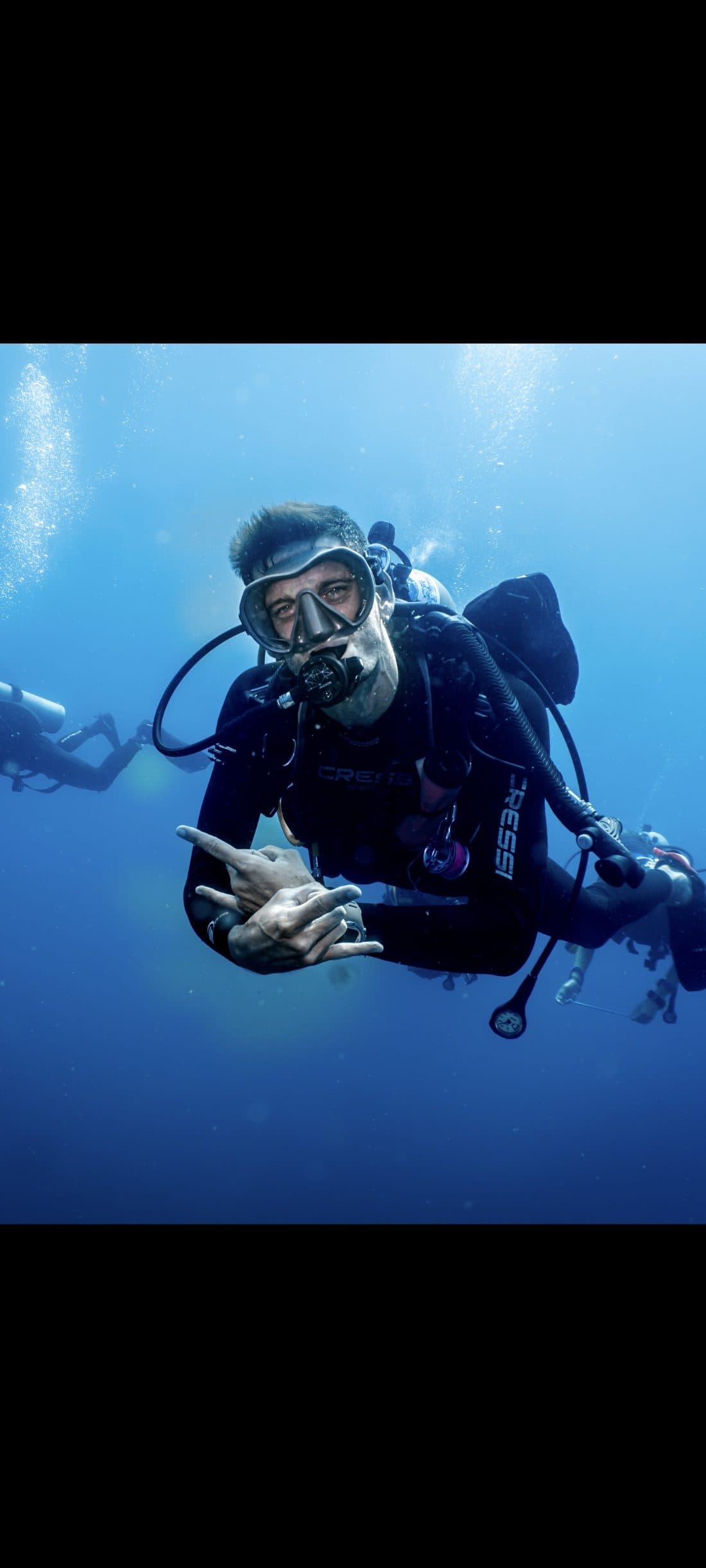 Whale shark swimming in open water near Koh Tao Thailand