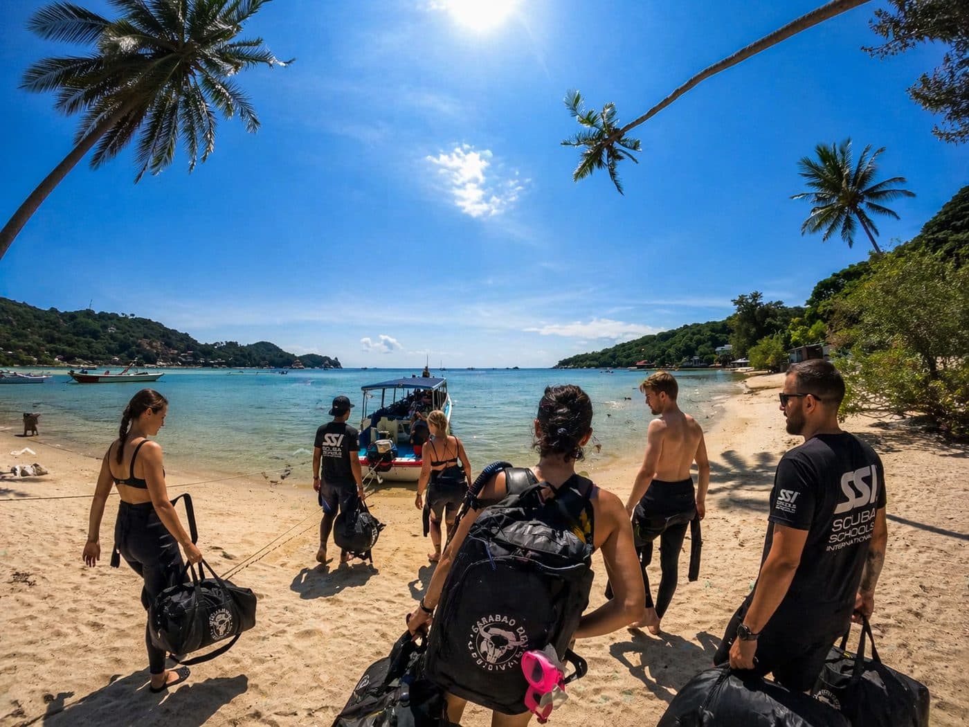 Two divers underwater in Koh Tao with clear blue water