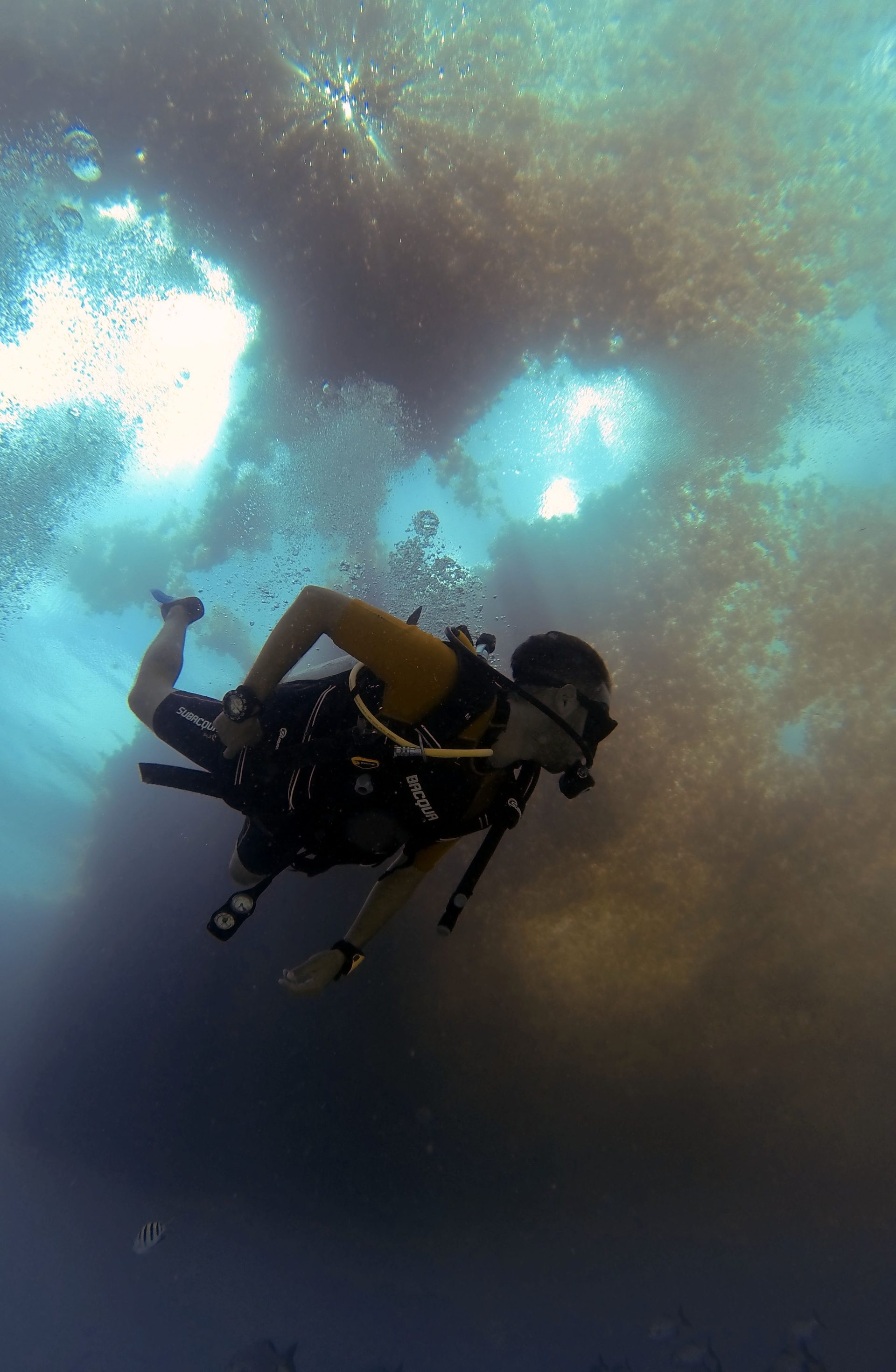 A diver descending into the blue on an Advanced Adventurer course off Koh Tao